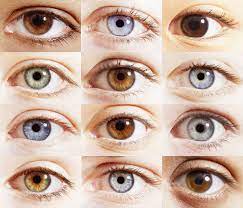 目の色が人によって違う理由とは？科学的根拠をもとに解説！