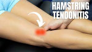 hamstring tendonitis behind the knee