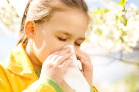 аллергия на пыльцу