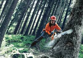 Professional Chainsaws Chainsaw And Accessories Reviews