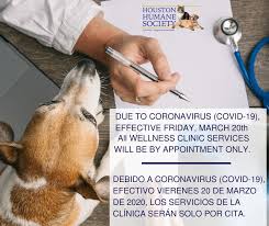 Dorsi diaz (author) from the san francisco bay area on september 19, 2011 great idea on vaccinating the puppy yourself; Services