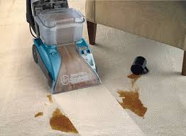 best carpet steam cleaners reviews in