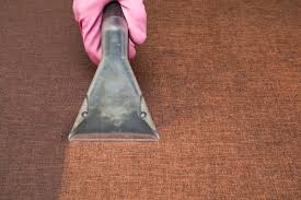 carpet cleaners mercer island