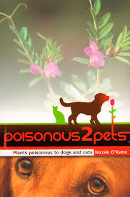 Plants Poisonous To Dogs And Cats