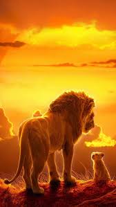 the lion king lion sunset hd phone
