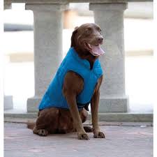 Kurgo Loft Reversible Dog Jacket Blue And Orange