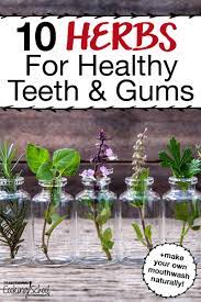 healthy teeth plus diy natural mouthwash