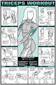 Triceps Workout Fitness Chart Co Ed