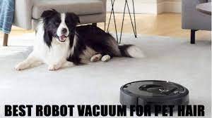 top 6 best robot vacuum for pet hair