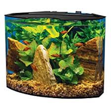 Round tanks · corner fish tanks . Best Rated Acrylic Aquariums In 2021 Reviews Fish Tank Advisor