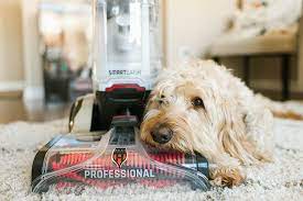 easy carpet cleaning with smartwash pet