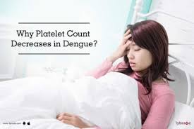 Why Platelet Count Decreases In Dengue By Dr Dushyant