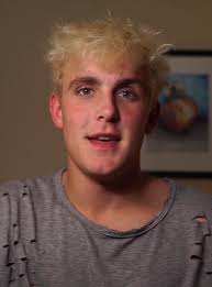 Bears have only now taken control over bitcoin; Jake Paul Wikipedia