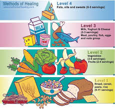 Usda Food Pyramid Hclfmp Food Pyramid Kids Healthy