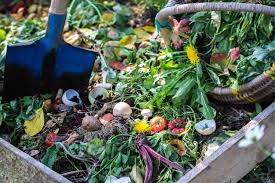 master direct composting eco friendly