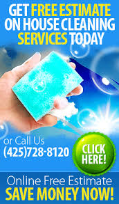 mill creek house cleaning service