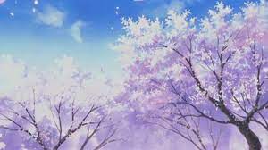 cherry blossom anime aesthetic