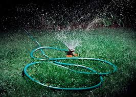For most warm and cool season grasses, one or two waterings per week should meet the weekly one watering new sod during the summer is different from watering an established lawn. How Much You Should Water Your Lawn According To A Golf Superintendent