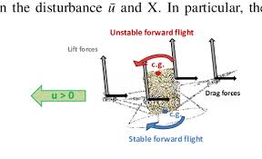 center of gravity during forward flight