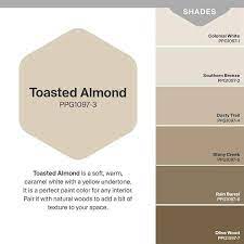 Toasted Almond Satin Interior Paint