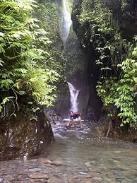 Kabupaten magelang ternyata memiliki air terjun yang begitu indah, yakni curug silawe di kecamatan kajoran. Dudakawu Kembang Jepara Wikipedia Bahasa Indonesia Ensiklopedia Bebas