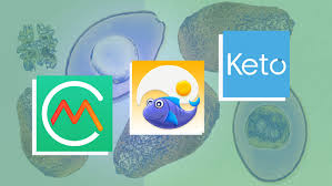 5 Best Keto Apps Health