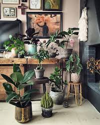 Indoor Garden Design Ideas For Your