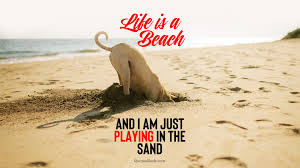 Image result for Life Is A Beach,