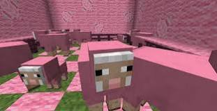 how-rare-is-it-to-find-a-pink-sheep-in-a-village