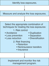 Steps In The Risk Management Process Principles Of Risk