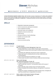 auditor resume example cv sample