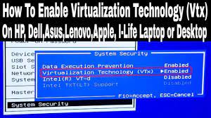enable hardware virtualization vtx