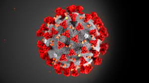 How did coronavirus start and spread? - BBC Reel