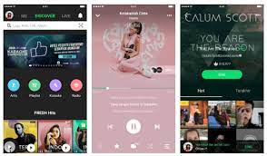 Salah satu yang paling banyak digunakan adalah untuk media hiburan dengan mendengarkan musik lewat android. 10 Aplikasi Pemutar Musik Android Online Dan Offline Terbaik