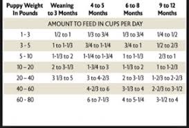 Puppy Feeding Chart Feeding Puppy Puppy Feeding Schedule