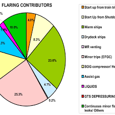 Pie Chart Of Flare Contributors In An Lng Plant 7