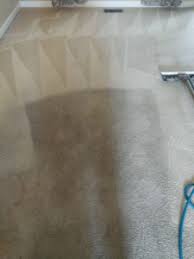carpet cleaning st peters mo