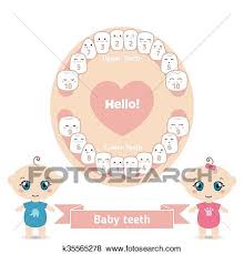 Baby Teething Chart Clip Art K35565278 Fotosearch