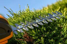 how to clean and sharpen hedge trimmers