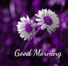 So check out the best collection of images of good morning and latest gud mrng flower pictures. Flower Good Morning Images Pictures Wallpaper Download