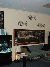 Best pet fish store near you! Pet Store Near Me With Fish