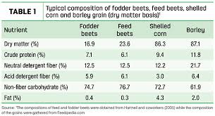 feed beets an economical subsute