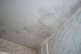 spot mold in the bathroom