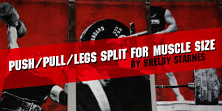 push pull legs split for muscle size