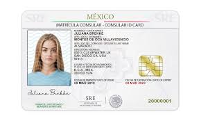 mexico consular id card template