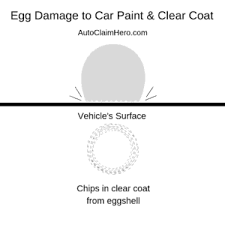 If you need car paint repair, you can use our handy collision repair cost calculator to get a car repair estimate for a paint job! My Car Was Egged Will Auto Insurance Cover The Damages