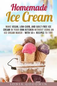 low carb desserts homemade ice cream