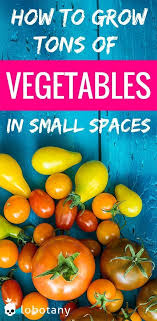 Grow Tons Of Vegetables In Small Spaces