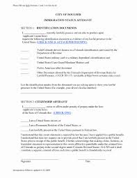 12 Example Of Affidavit Letter For Immigration Leterformat