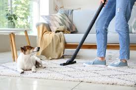 disinfect carpets